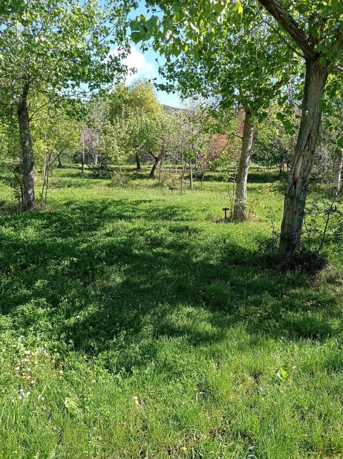 Camping Yaso-Guara Eksteriør bilde