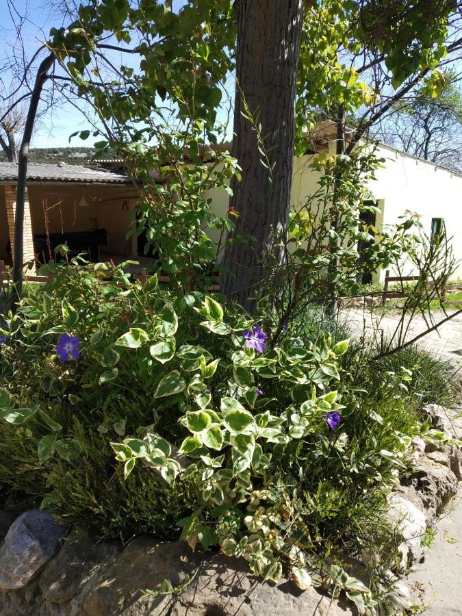 Camping Yaso-Guara Eksteriør bilde